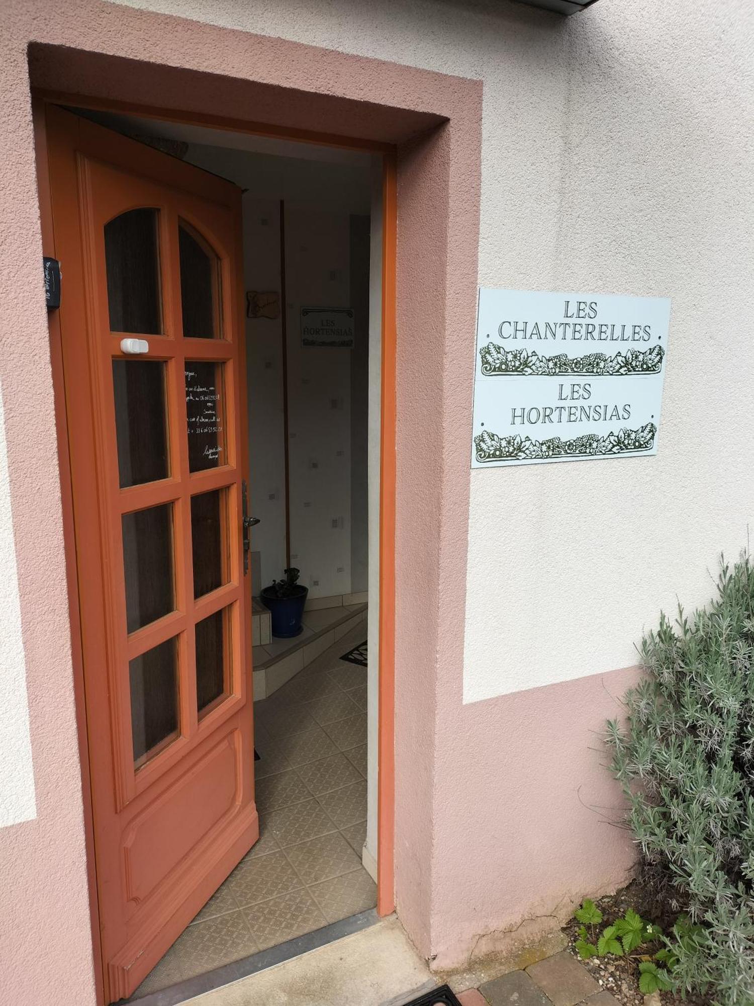 Les Hortensias La Souris Des Champs Etival-Clairefontaine Exterior photo