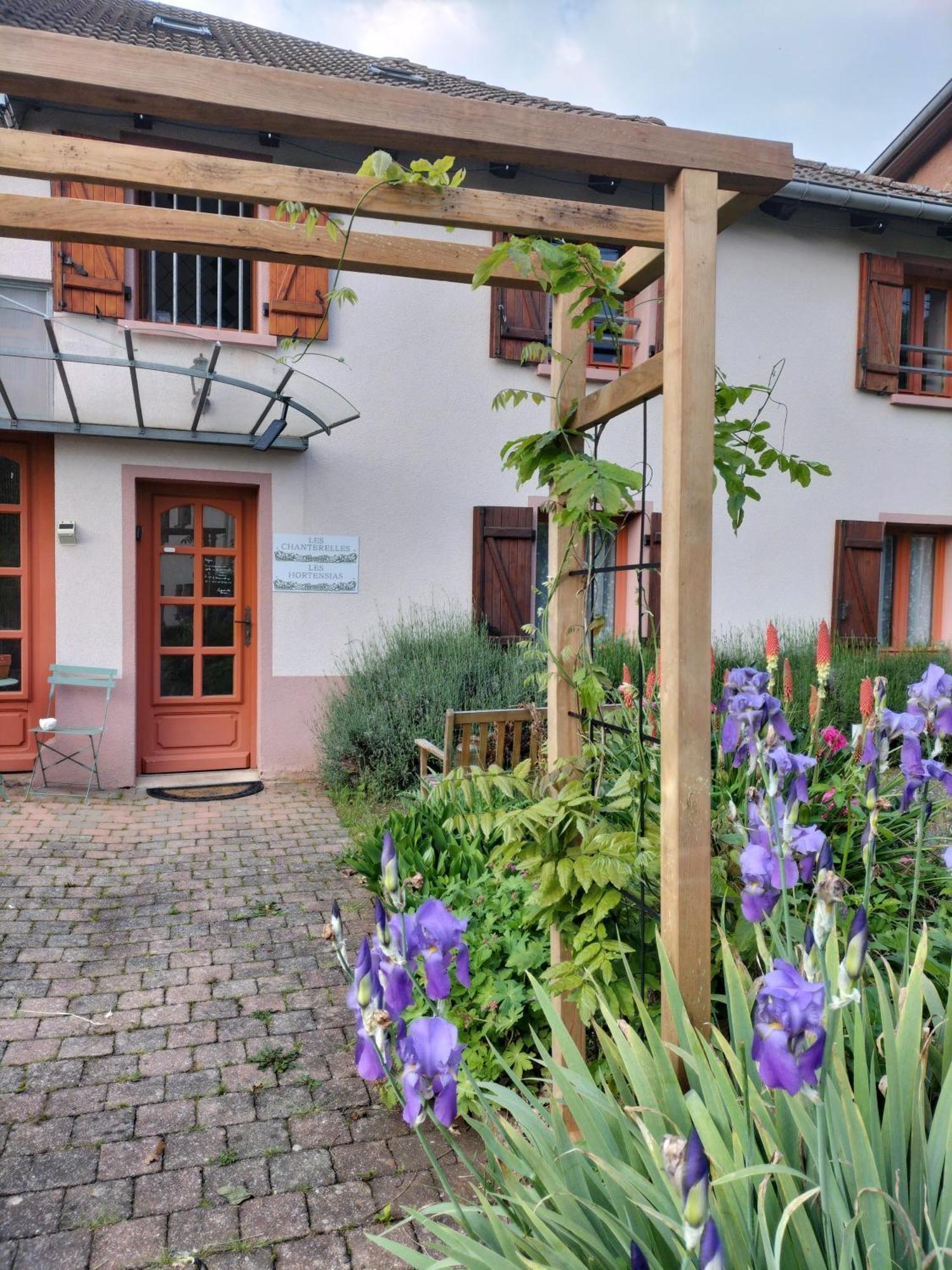 Les Hortensias La Souris Des Champs Etival-Clairefontaine Exterior photo